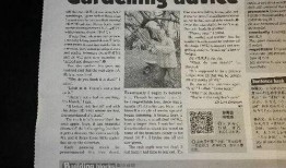 娱乐吃瓜酱英语翻译怎么写,From 'Entertainment Gossipy Sauce' to English: Crafting a Captivating Article Subtitle